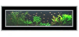 אקווריום תמונה 120 ליטר AquaPlasma 150 - בית הובי אונליין