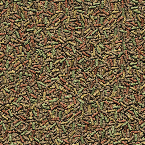 68833.jpg