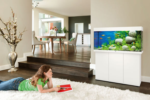אקווריום קלאסי + שולחן JUWEL RIO 180 - תמונה 12 אקווריום קלאסי + שולחן JUWEL RIO 180 - תמונה 12