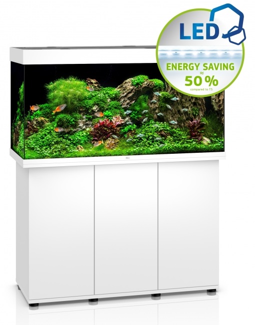 אקווריום קלאסי + שולחן JUWEL RIO 350 - תמונה 5 אקווריום קלאסי + שולחן JUWEL RIO 350 - תמונה 5