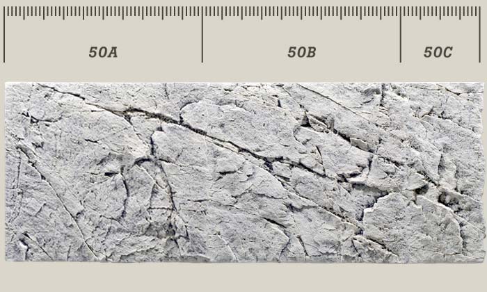 רקע תלת מימד Back To Nature White Limestone - תמונה 2 רקע תלת מימד Back To Nature White Limestone - תמונה 2
