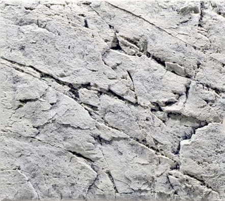 רקע תלת מימד Back To Nature White Limestone - תמונה 1 רקע תלת מימד Back To Nature White Limestone - תמונה 1