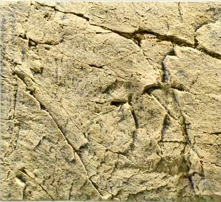 רקע תלת מימד Back To Nature Sand - תמונה 1 רקע תלת מימד Back To Nature Sand - תמונה 1