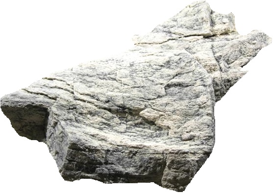 מודול תלת מימד Back To Nature Module A - תמונה 2 מודול תלת מימד Back To Nature Module A - תמונה 2