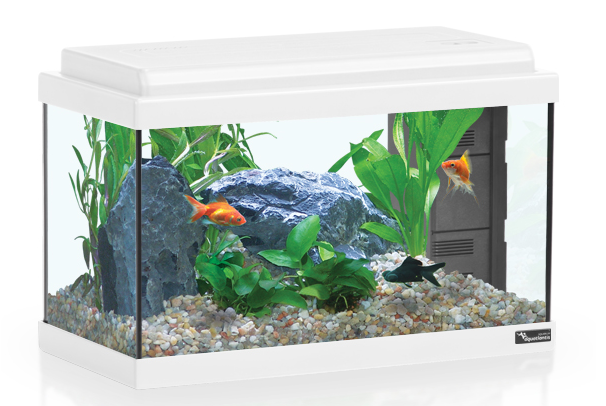 אקווריום 25 ליטר Aquatlantis Advance Led 40 - תמונה 3 אקווריום 25 ליטר Aquatlantis Advance Led 40 - תמונה 3