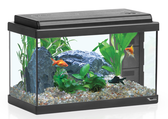 אקווריום 25 ליטר Aquatlantis Advance Led 40 - תמונה 1 אקווריום 25 ליטר Aquatlantis Advance Led 40 - תמונה 1