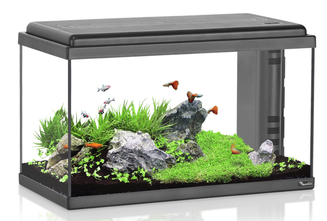 אקווריום 60 ליטר Aquatlantis Advance 60 - תמונה 2 אקווריום 60 ליטר Aquatlantis Advance 60 - תמונה 2