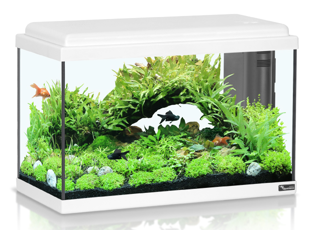 אקווריום 45 ליטר AquaAtlantis Advance Led 50 - תמונה 2 אקווריום 45 ליטר AquaAtlantis Advance Led 50 - תמונה 2