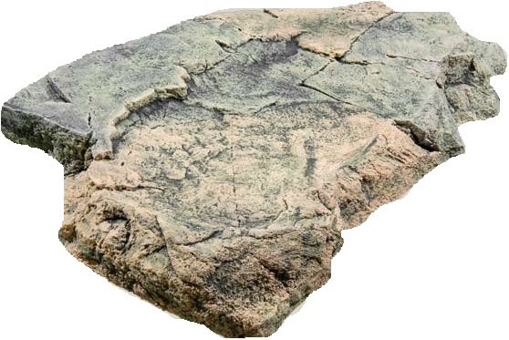 מודול תלת מימד Back To Nature Module F - תמונה 1 מודול תלת מימד Back To Nature Module F - תמונה 1
