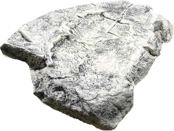 מודול תלת מימד Back To Nature Module F - תמונה 2 מודול תלת מימד Back To Nature Module F - תמונה 2