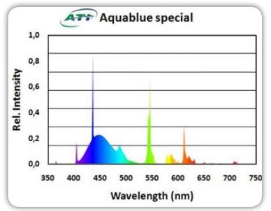 ATI AQUA BLUE SPECIAL T5 - 39W-80W - תמונה 2 ATI AQUA BLUE SPECIAL T5 - 39W-80W - תמונה 2
