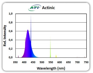 ATI ACTINIC T5 - 39W-80W - תמונה 2 ATI ACTINIC T5 - 39W-80W - תמונה 2