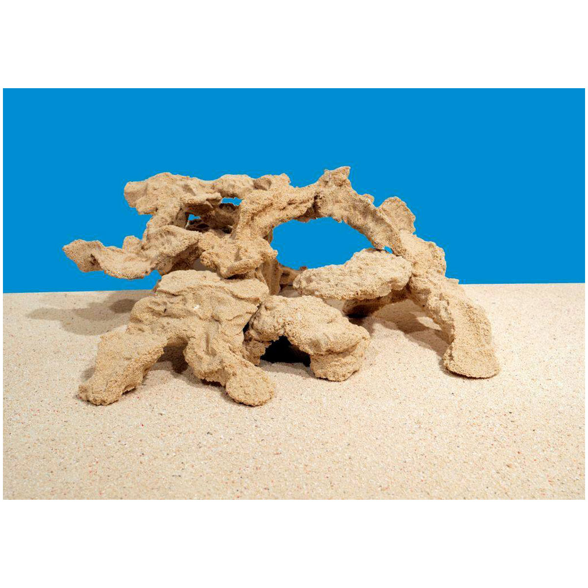 סלעים ATI EPOREEF - תמונה 2 סלעים ATI EPOREEF - תמונה 2