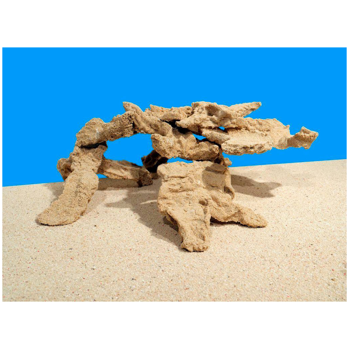 סלעים ATI EPOREEF - תמונה 3 סלעים ATI EPOREEF - תמונה 3