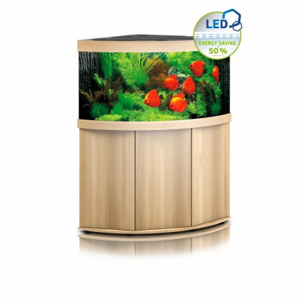 אקווריום פינתי + שולחן JUWEL_TRIGON 350 - תמונה 3 אקווריום פינתי + שולחן JUWEL_TRIGON 350 - תמונה 3