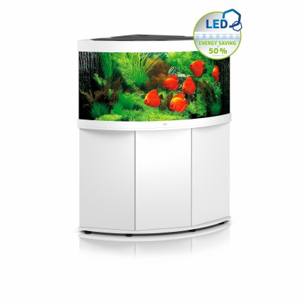 אקווריום פינתי + שולחן JUWEL_TRIGON 350 - תמונה 2 אקווריום פינתי + שולחן JUWEL_TRIGON 350 - תמונה 2