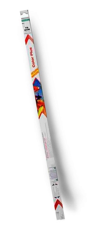 COLOR PLUS T-5 - תמונה 1 COLOR PLUS T-5 - תמונה 1