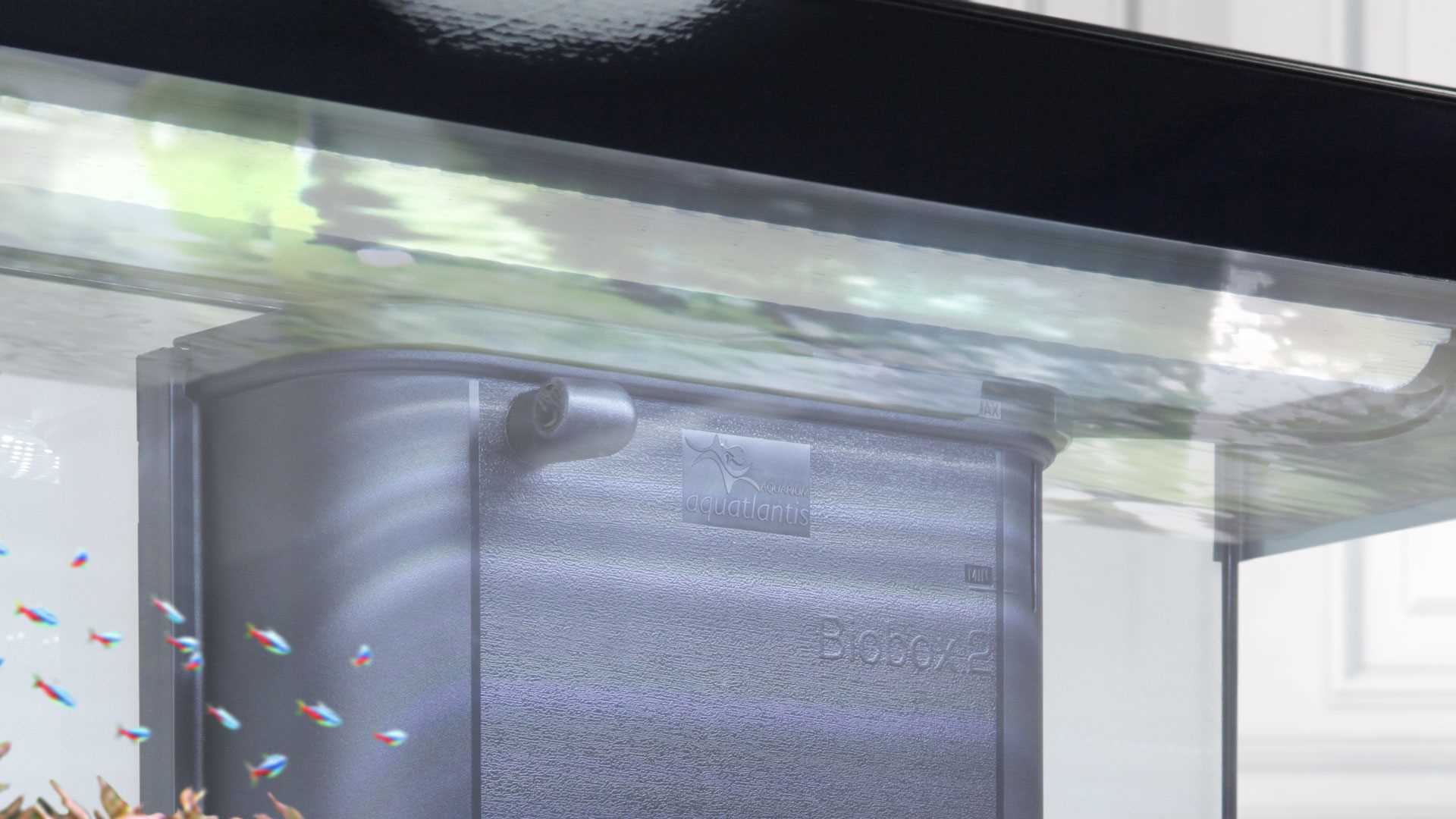 אקווריום + שולחן Aquatlantis Style Led 120 - תמונה 13 אקווריום + שולחן Aquatlantis Style Led 120 - תמונה 13