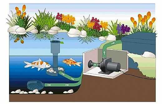 משאבת מים להתקנה יבשה OASE Aquamax Dry 6000 - תמונה 2 משאבת מים להתקנה יבשה OASE Aquamax Dry 6000 - תמונה 2