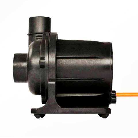 abyzz_pumps_2.jpg
