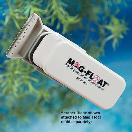 מגנט לניקוי זכוכית כולל סכין MagFloat L - 20mm + Scraper - תמונה 3 מגנט לניקוי זכוכית כולל סכין MagFloat L - 20mm + Scraper - תמונה 3