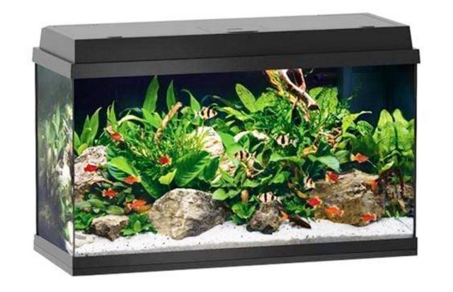 אקווריום 110 ליטר JUWEL Primo_LED 110 - תמונה 1 אקווריום 110 ליטר JUWEL Primo_LED 110 - תמונה 1