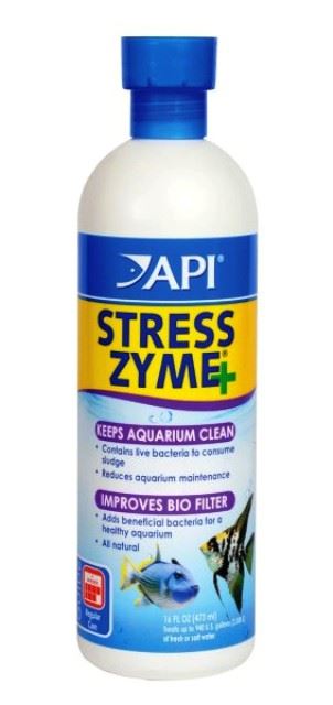בקטריה Api Stress Zyme - תמונה 2 בקטריה Api Stress Zyme - תמונה 2