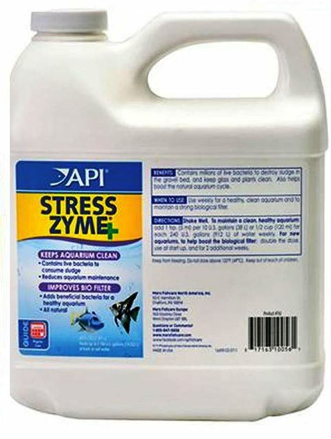 בקטריה Api Stress Zyme - תמונה 3 בקטריה Api Stress Zyme - תמונה 3