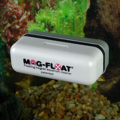 מגנט לניקוי אצות MagFloat - תמונה 2 מגנט לניקוי אצות MagFloat - תמונה 2