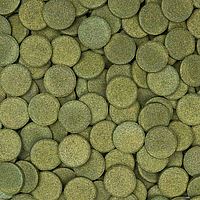 סרה ספירולינה 250 מל / 120 גרם Sera Mrine Spirulina Grazer XL - תמונה 2 סרה ספירולינה 250 מל / 120 גרם Sera Mrine Spirulina Grazer XL - תמונה 2