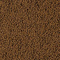 sera_insect_nature_1.jpg