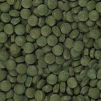 csm_sera_marine_plankton_tabs_nature_detail_c5f82ce146.jpg