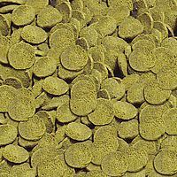 סרה לדגי נקאי 250 מל / 95 גרם Sera Catfish Chips - תמונה 1 סרה לדגי נקאי 250 מל / 95 גרם Sera Catfish Chips - תמונה 1