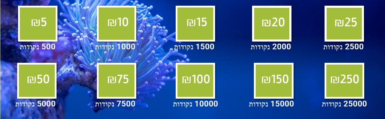 רשימת שוברים לקניה חוזרת