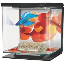 אקווריום קטן 2 ליטר Marina Betta Kit, Sun Swirl