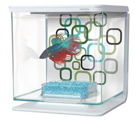 marina betta tank