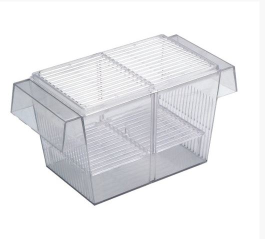 תא השרצה BabyHome תא השרצה BabyHome