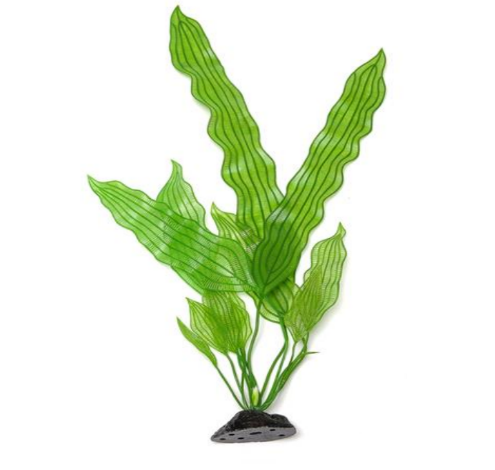 צמח פלסטי ירוק צמח פלסטי ירוק