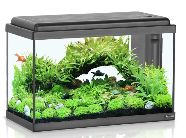 אקווריום 45 ליטר AquaAtlantis Advance Led 50 אקווריום 45 ליטר AquaAtlantis Advance Led 50