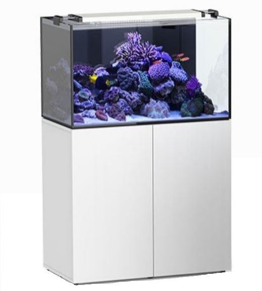 אקווריום מים מלוחים 432 ליטר Aqua_Studio_Saltwater_432 אקווריום מים מלוחים 432 ליטר Aqua_Studio_Saltwater_432