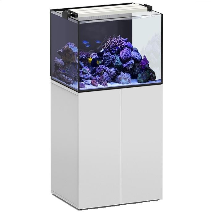 אקווריום מים מלוחים 216 ליטר Aqua_Studio_Saltwater_216 אקווריום מים מלוחים 216 ליטר Aqua_Studio_Saltwater_216