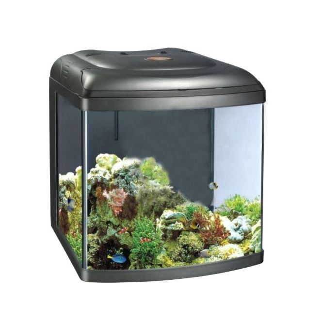 אקווריום מים מלוחים 90 ליטר אקווריום מים מלוחים 90 ליטר