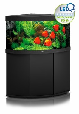 אקווריום פינתי למכירה כולל שולחן JUWEL TRIGON 350 אקווריום פינתי למכירה כולל שולחן JUWEL TRIGON 350
