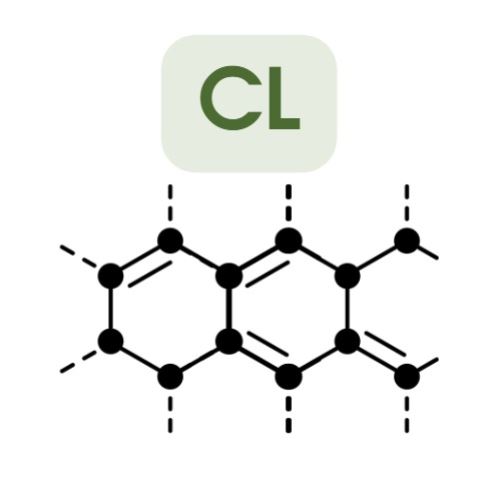 כימיה של המים - שיעור מספר 7 - כלור (CL) כימיה של המים - שיעור מספר 7 - כלור (CL)
