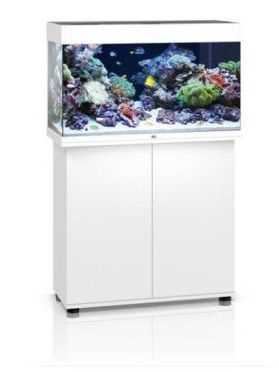 אקווריום מים מלוחים מרינה Juwel_Marine_Aquarium_125 אקווריום מים מלוחים מרינה Juwel_Marine_Aquarium_125