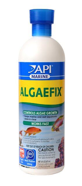 נגד ירוקת ואצות למים מלוחים Api Marine AlgaeFix 473ML נגד ירוקת ואצות למים מלוחים Api Marine AlgaeFix 473ML