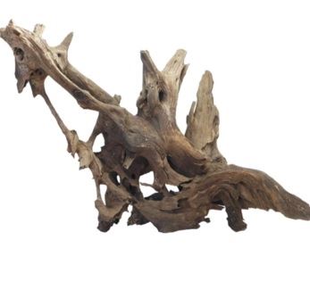 גזע עץ סחף אריזת 5 קילו גזע עץ סחף אריזת 5 קילו