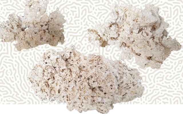 סלעי ריף טבעיים - אריזת 20 קילו THE REEF ROCK סלעי ריף טבעיים - אריזת 20 קילו THE REEF ROCK