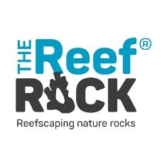THE REEF ROCK THE REEF ROCK