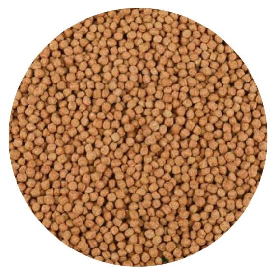 מזון פרימיום לדגי קוי - גרגירים ProPond Koi Granules מזון פרימיום לדגי קוי - גרגירים ProPond Koi Granules